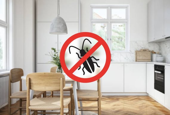 Protection Anti-Nuisibles Protection Anti-Nuisibles